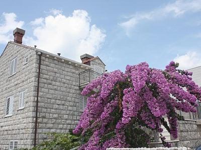 Apartment In Port With Sea View Ντουμπρόβνικ Εξωτερικό φωτογραφία